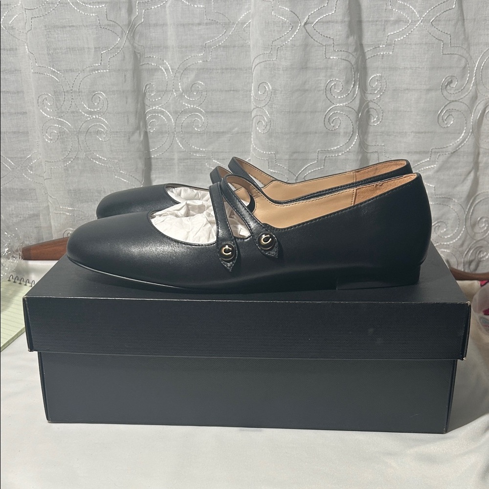 Coach Winley Leather Mary Jane Flats - Picture 2 of 10